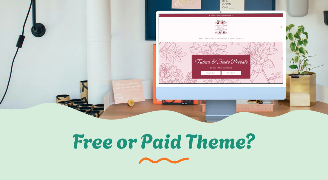 Free or Paid Theme?